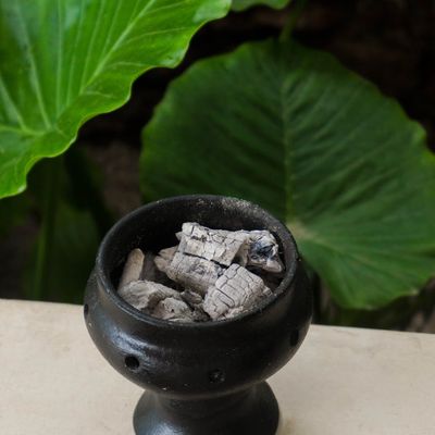 A small green plant next to an incense burner